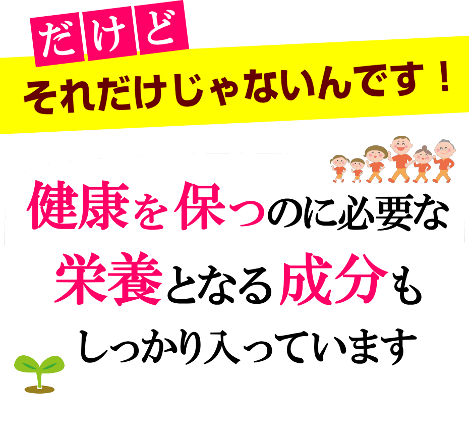 健康を維持すつための栄養