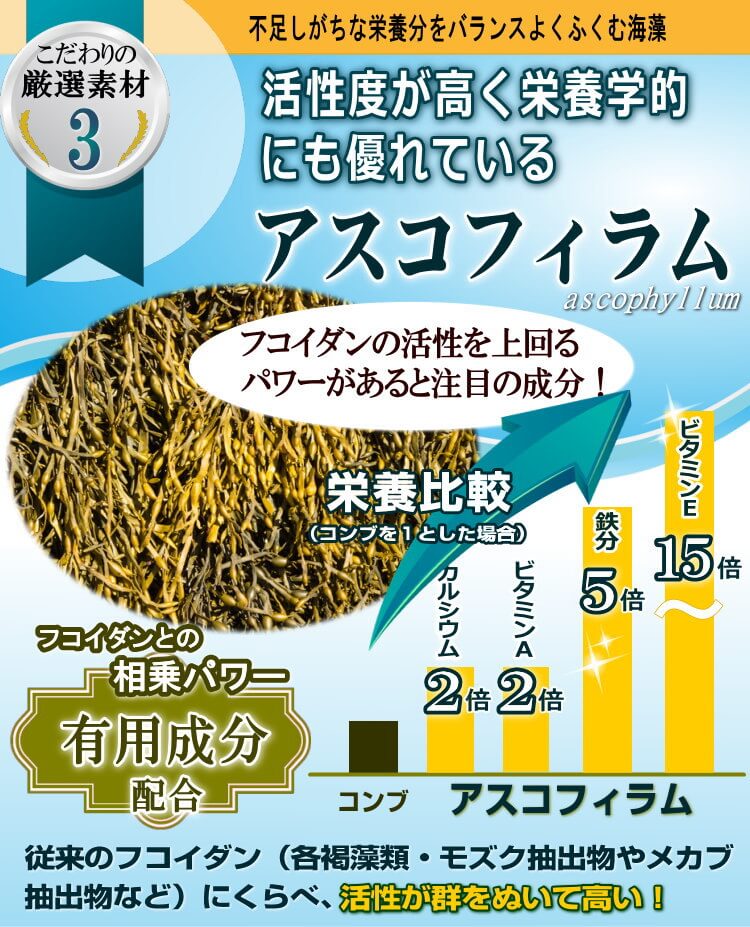 厳選素材高活性アスコフィラム