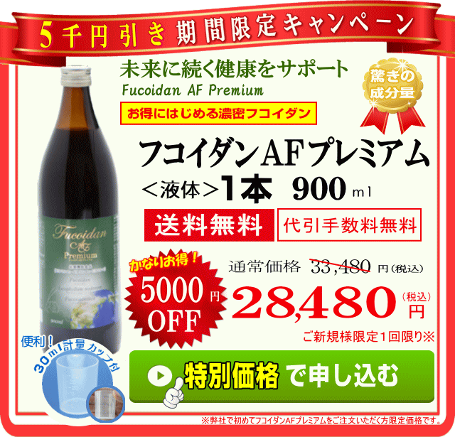 期間限定キャンペーン