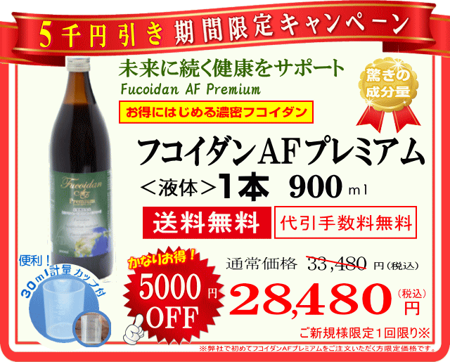 期間限定キャンペーン