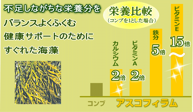栄養分の優れたアスコフィラム