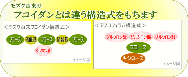 モズク由来の構造式