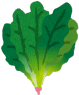 ほうれん草