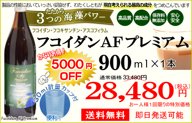 キャンペーン特別価格