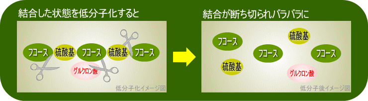 低分子化することによるデメリット