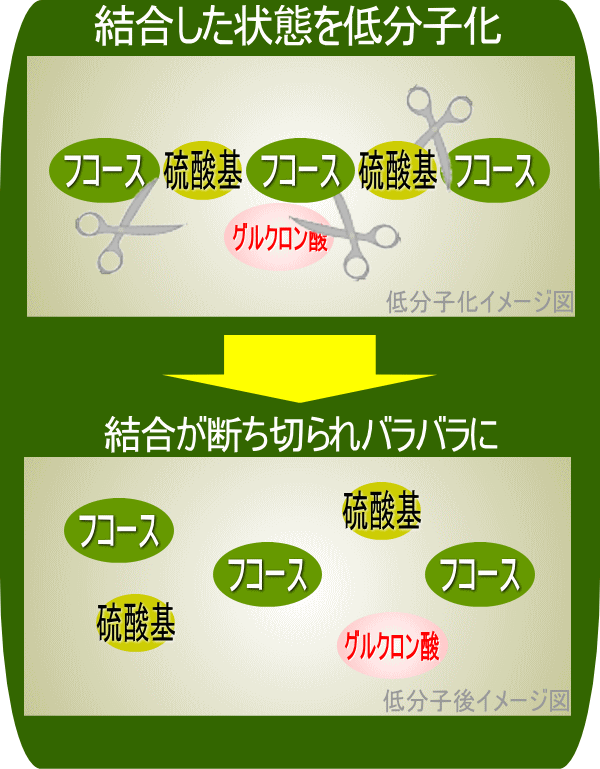 結合しているのを低分子化