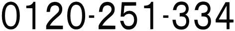 0120-251-334