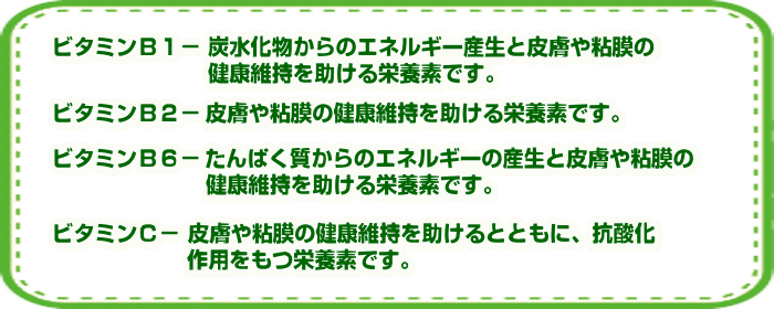 健康維持にかかせない栄養素