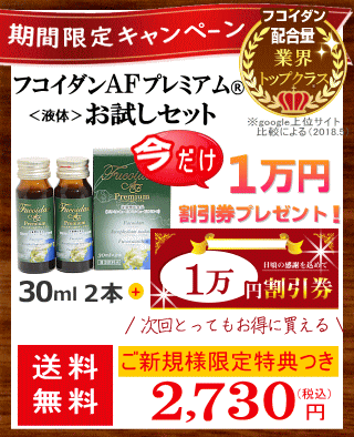 期間限定お得な特別価格