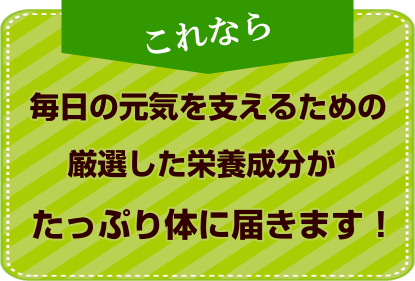 厳選栄養成分がたっぷり体に届く