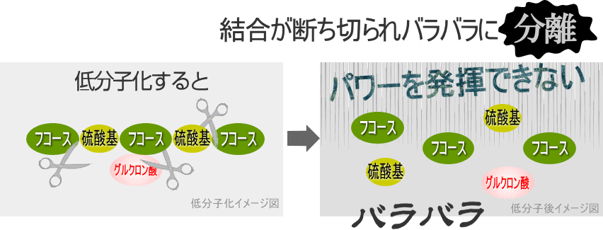 低分子化することでバラバラに壊れる