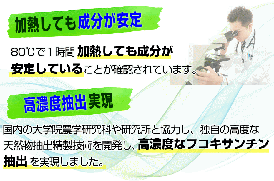 加熱後も成分が安定のフコキサンチン