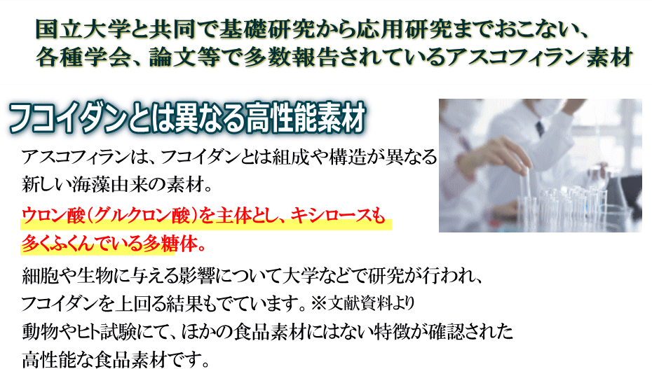 高性能素材、海藻由来、基礎研究、応用研究