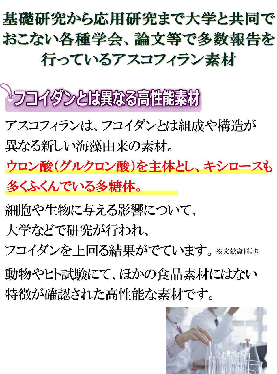 大学で共同開発された品質のよい素材