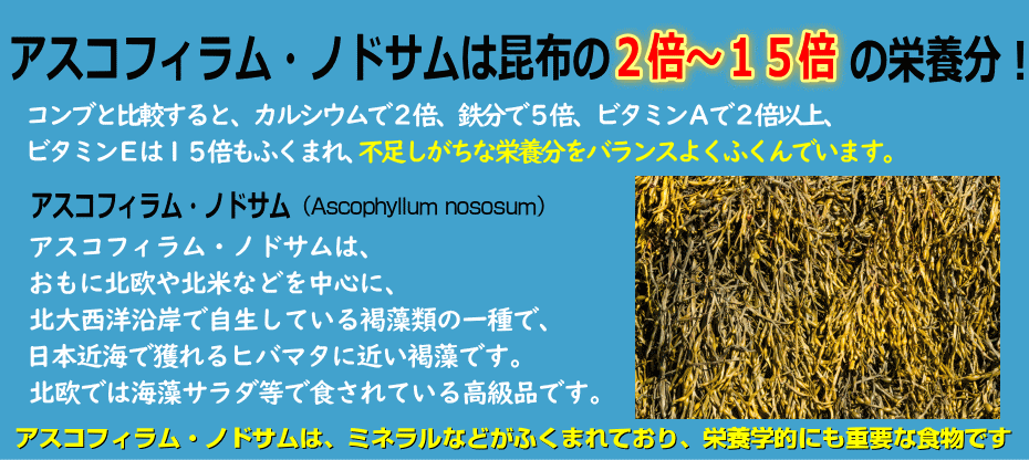 昆布、２倍～15倍、栄養分、比較、高級
