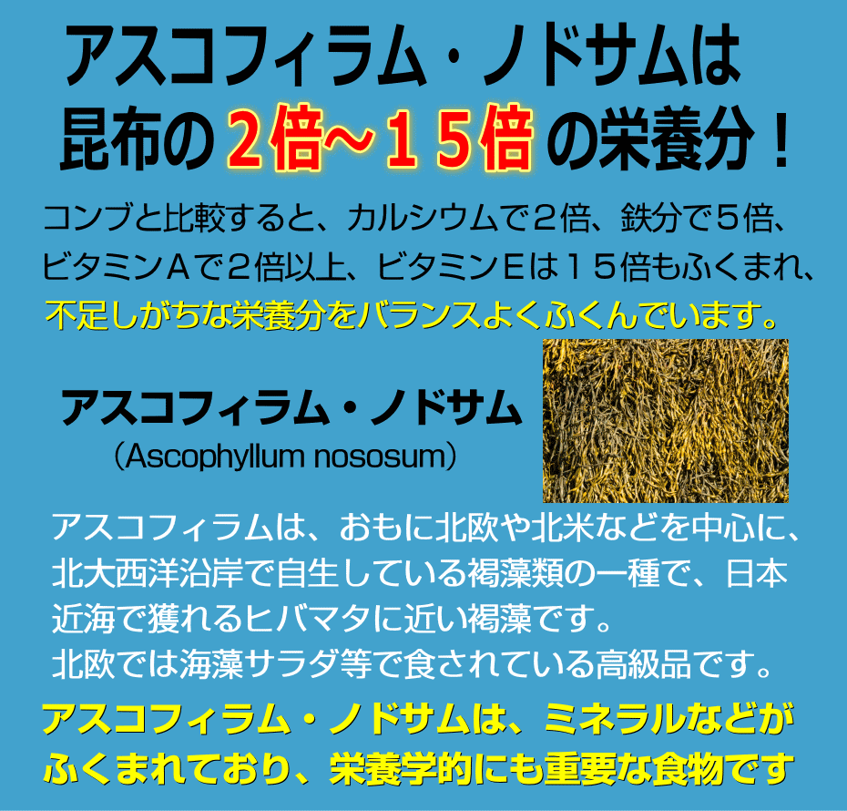 昆布の１５倍以上の栄養成分がある
