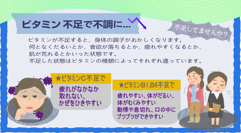 ビタミン不足、身体の調子、食欲、疲れ