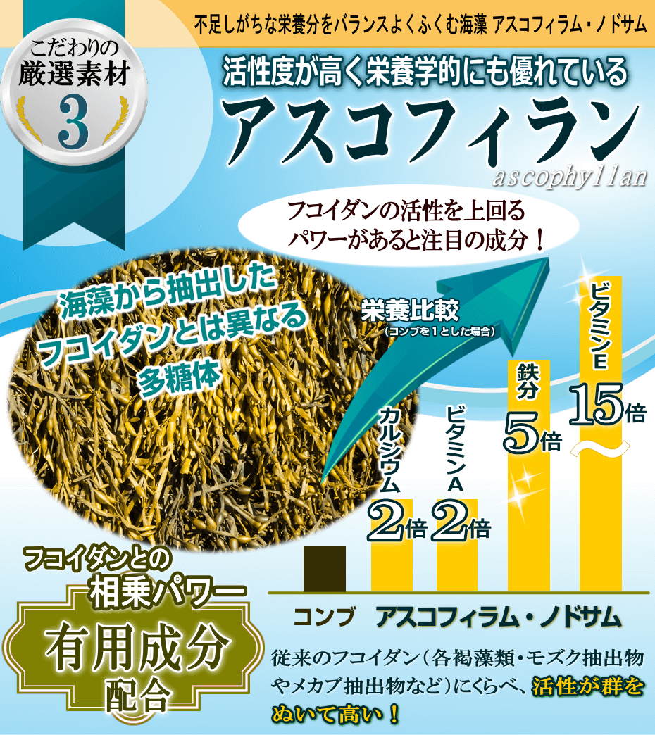 高活性、アスコフィラン、ascophyllan