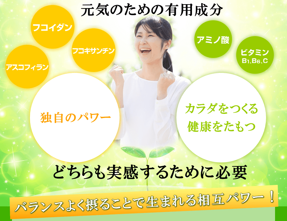 フコイダン、フコキサンチン、アスコフィラン