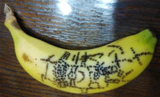 バナナアートでストレス解消