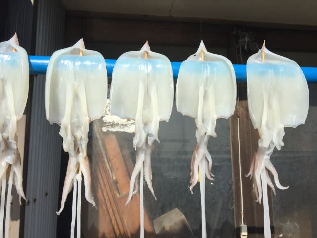 スルメイカの 健康効果