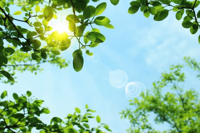 夏バテ 対策