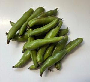 ほくほく甘いそら豆