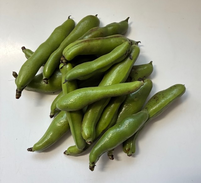 ほくほく甘いそら豆