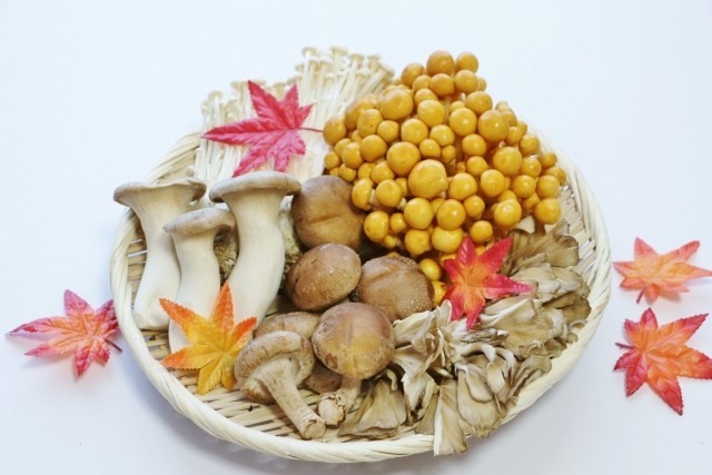 秋の味覚きのこ根菜
