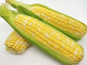 旬の食材とうもろこしの効果効能