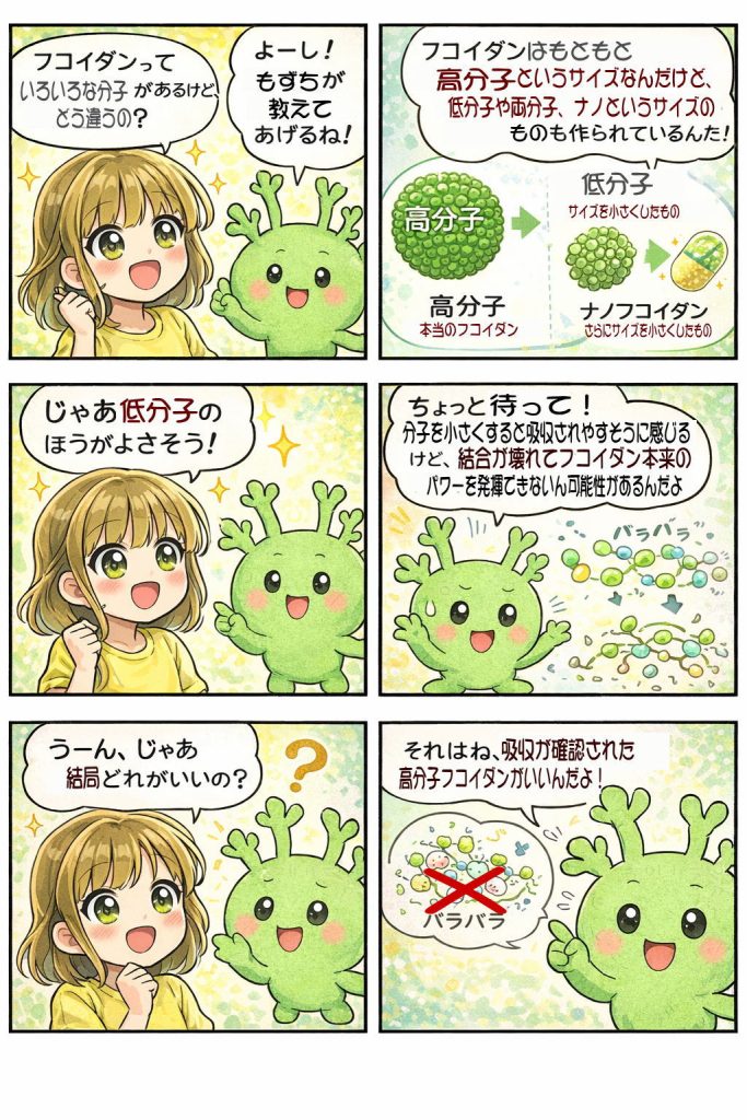 フコイダンの分子サイズって？