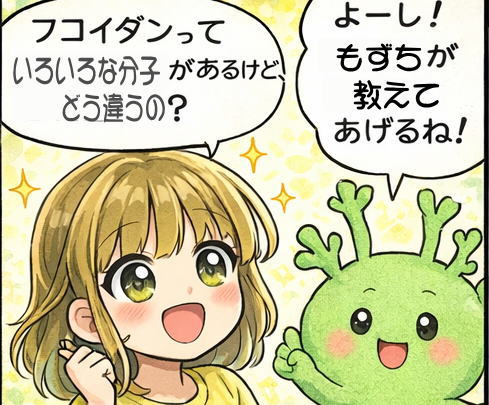 フコイダンの分子サイズって？