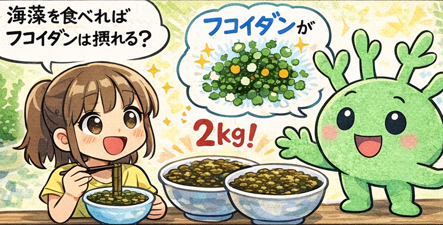 海藻を食べておけばフコイダンは充分？