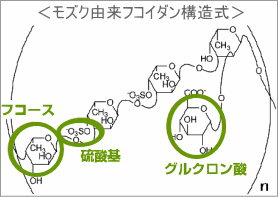 もずく由来フコイダン構造式