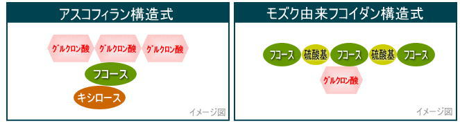 アスコフィラン構造式ともずく由来フコイダン構造式