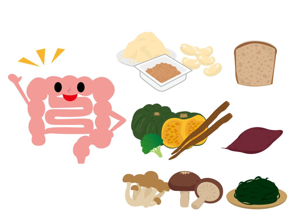 食物繊維を説明するため、大腸、納豆、かぼちゃ、ブロッコリー、ごぼう、サツマイモ、きのこ、海藻などが書かれているイラスト