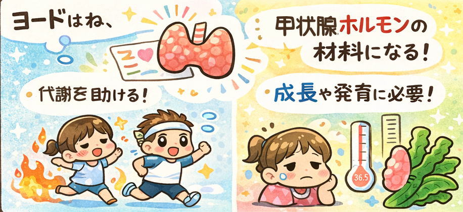 ヨード（ヨウ素）とは