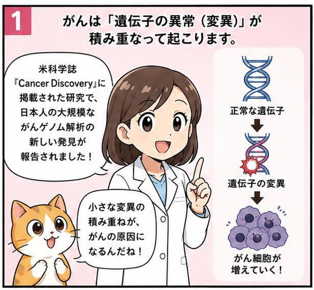 がんは「遺伝子の異常（変異）」が積み重なって起こります。
アメリカの科学誌「CancerDiscovery」に掲載された研究で、日本人の大規模ながんゲノム解析の新しい発見がされました！と解説する白衣を着た女性のイラスト