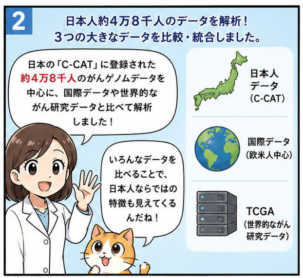 日本人約４万８千人のデータを解析！３つの大きなデータを比較・統合しました。日本の「C-CAT]に登録されたがんゲノムデータを中心に、国際データや世界的ながん研究データと比べて解析しました！と説明する女性のイラスト