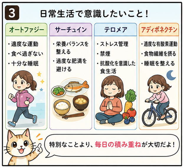 これら４つをうまく働かせるために、日常生活で意識したいことを列記したイラストと、「特別なことより、毎日の積み重ねが大切だよ！」と話す猫のイラスト