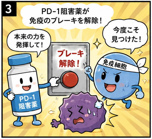 PD-1阻害薬が免疫のブレーキを解除、というタイトルと、「本来の力を発揮して！」と話すPD-1阻害薬のキャラクターと「今度こそ見つけた！」と話す免疫細胞のイラスト