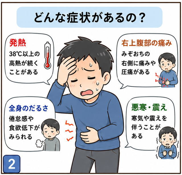 どんな症状があるの？というタイトルの文字と、「発熱」「右上腹部の痛み」「全身のだるさ」「悪寒・震え」の説明と体調が悪そうな男性のイラスト