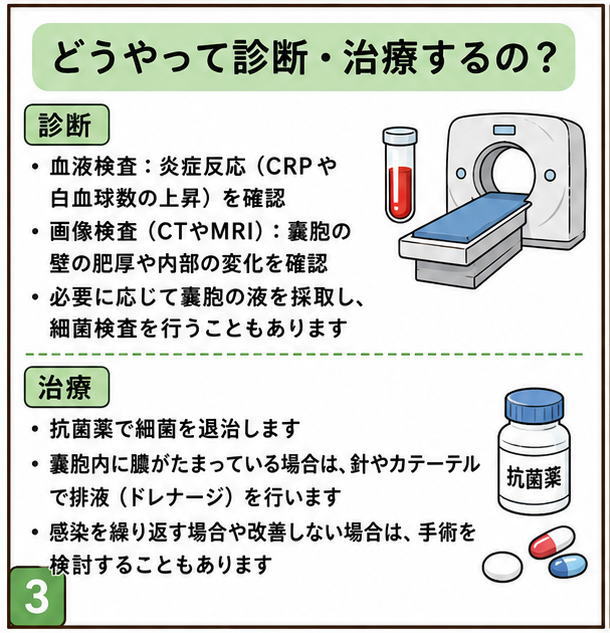 どうやって診断・治療するの？という文字と「診断」は血液検査、画像検査、必要に応じて嚢胞の液を採取し、細菌検査を行うこともあります、「治療」抗菌薬、針やカテーテルで排液（ドレナージ）、繰り返す場合や改善しない場合は手術という解説のイラスト