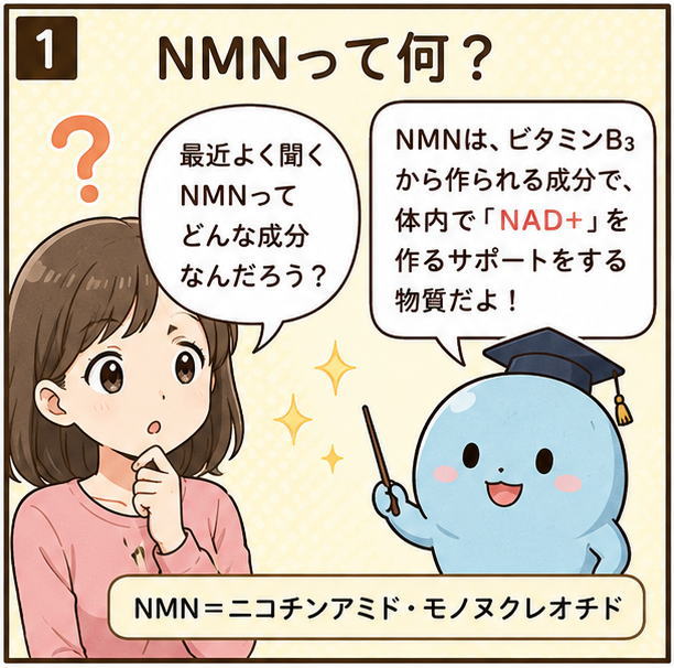 「最近よく聞くNMNってどんな成分なんだろう？」と尋ねる女性と、「NMNは、ビタミンB3から作られる成分で、体内でNAD+を作るサポートをする物質だよ！