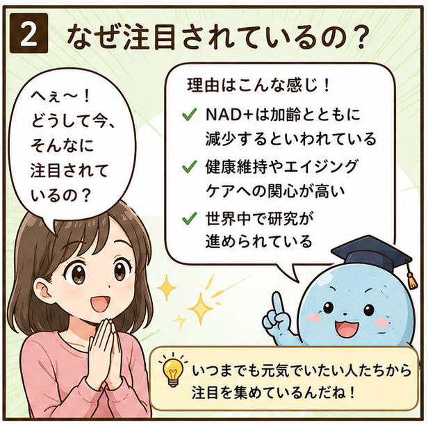 なぜ注目されているの？というタイトルと「へぇ～！どうして今、そんなに注目されているの？」と尋ねる女性と理由は「NAD+は加齢とともに減少するといわれている」「健康維持やエイジングケアへの関心が高い」「世界中で研究が進められている」と解説するキャラクターのイラスト