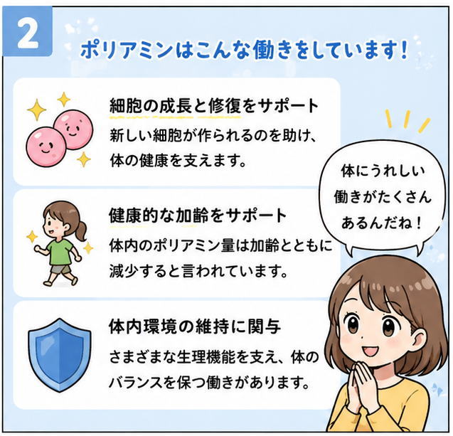 ポリミアンはこんな働きをしています!「細胞の成長と修復をサポート」「健康的な加齢をサポート」「体内環境の維持に関与」と書かれた文字と「体にうれしい働きがたくさんあるんだね」と話す女性のイラスト