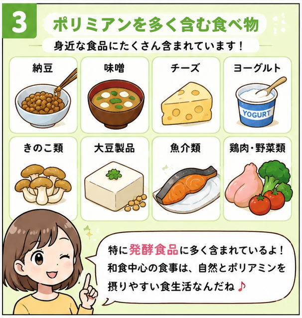 ポリミアンを多く含む食べ物として「納豆」「味噌」「チーズ」「ヨーグルト」「きのこ類」「大豆製品」「魚介類」「鶏肉・野菜類」とくに発酵食品に多く含まれているよ、と話す女性のイラスト