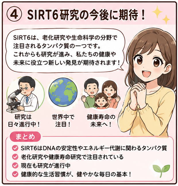 SIRT6研究の今後に期待！というタイトルと、「SIRT6は、老化研究や生命科学の分野で注目されるたんぱく質の一つです。これからも研究が進み、私たちの健康や未来に役立つ新しい発見が期待されます、と話す女性のイラスト