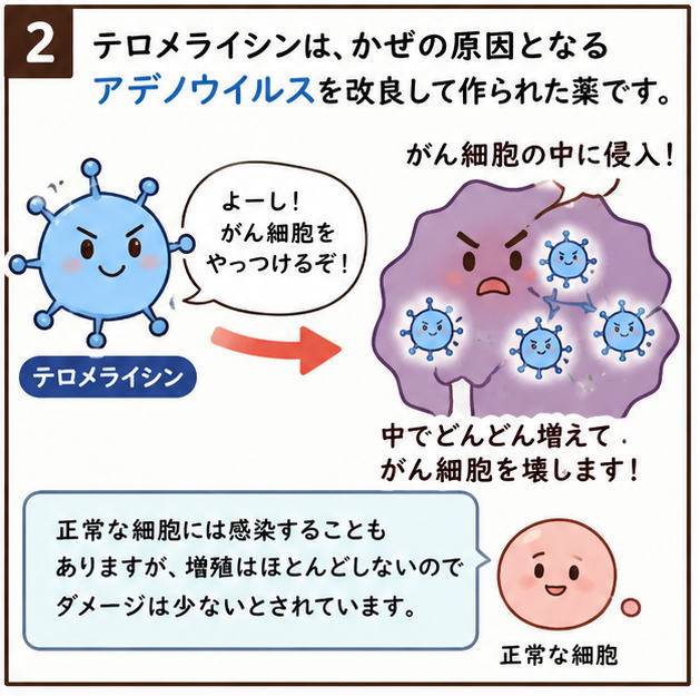 テロメライシンは、かぜの原因となるアデノウイルスを改良して作られた薬です。正常な細胞には感染することもありますが、増殖はほとんどしないのでダメージは少ないとされていますという解説漫画