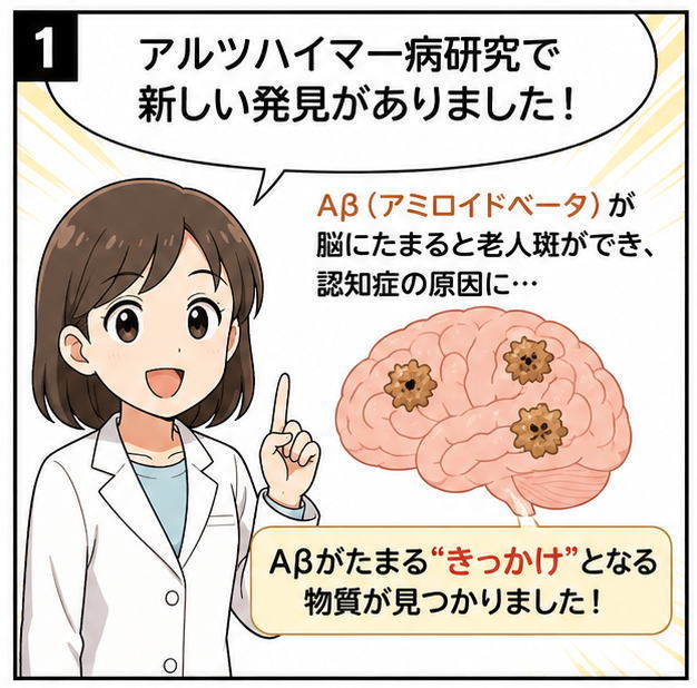 アルツハイマー病研究で新しい発見がありました！と話す白衣を着た女性と、Aβ（アミロイドベータ）が脳にたまると老人班ができ、認知症の原因に…と書かれた文字と脳のイラスト